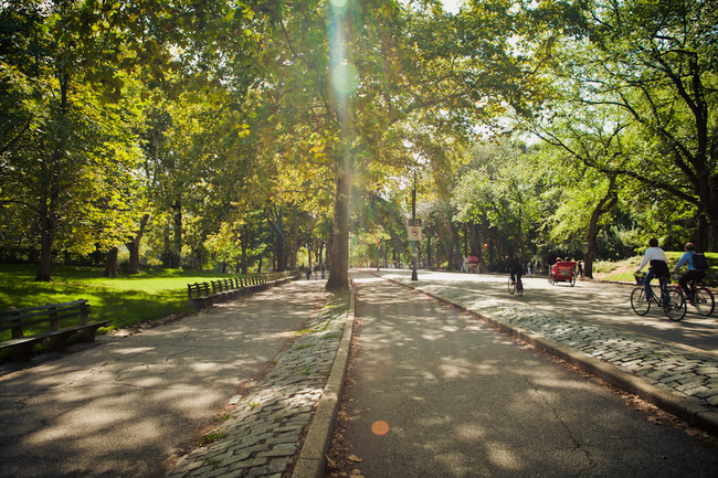 Central Park-9