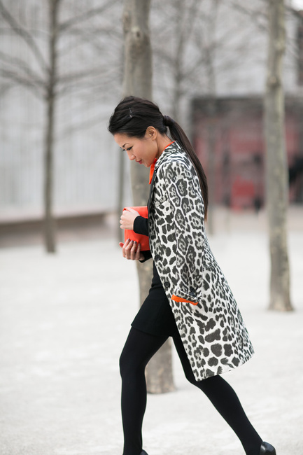 Snow Leopard-4