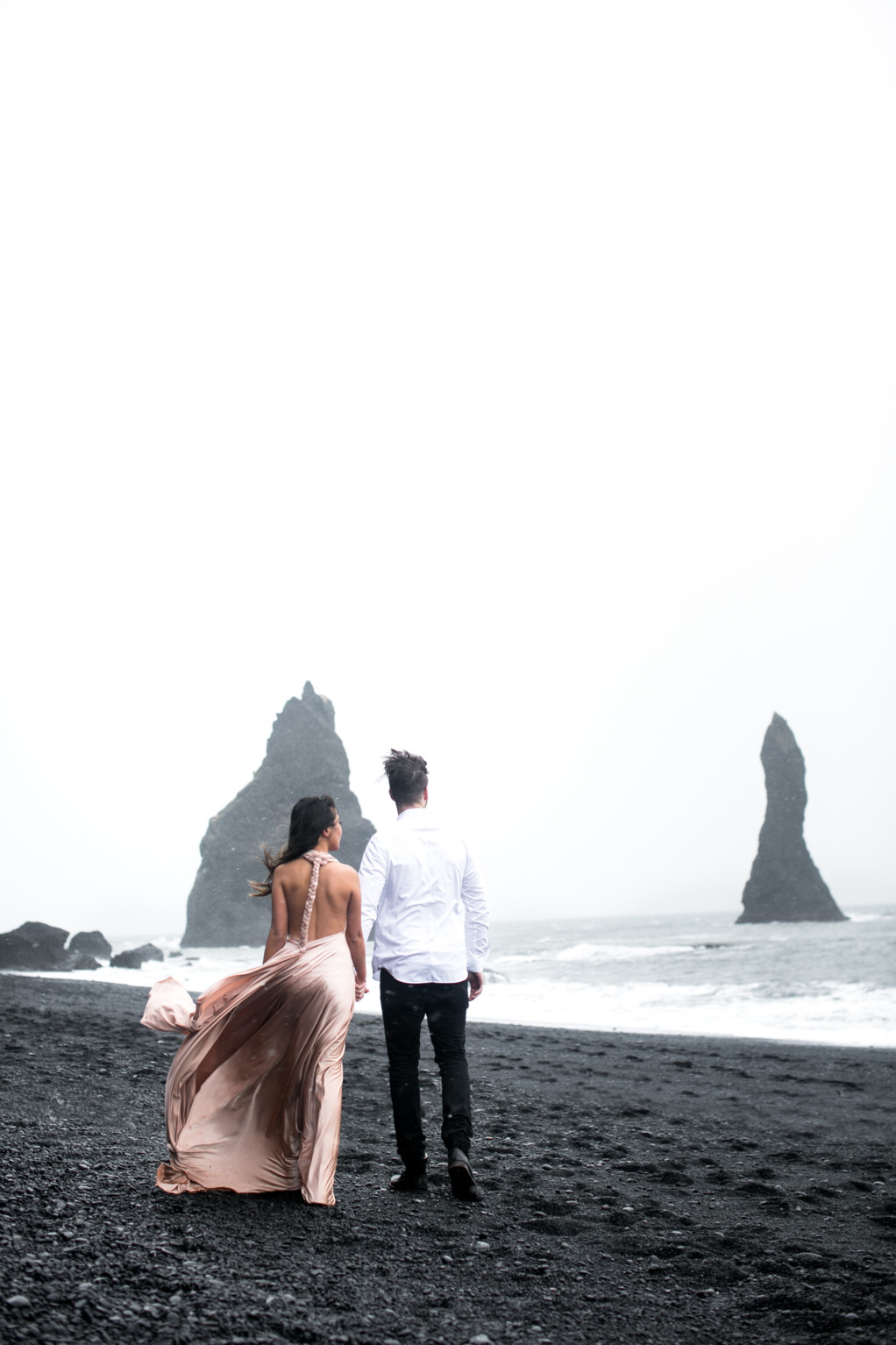 coast wendy dress black